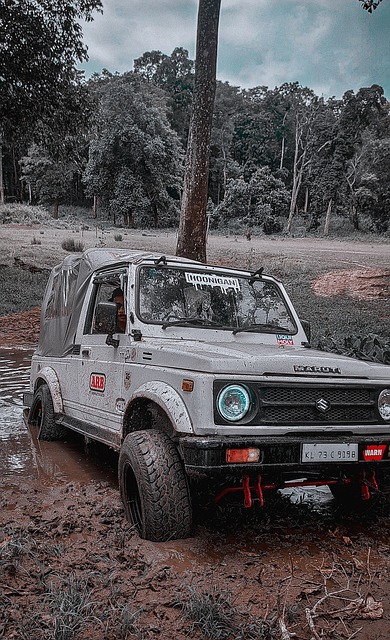 有如此出色 有如此出色