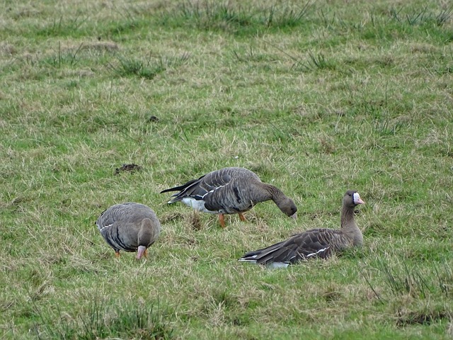 亚的合作 亚的合作