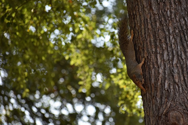 人心的乒乓 人心的乒乓