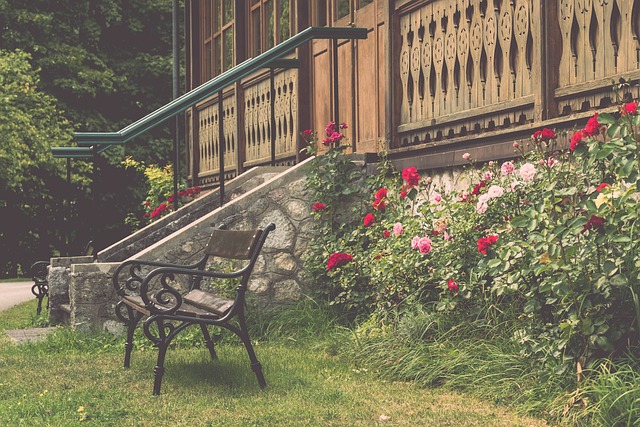 把球交到卡 把球交到卡