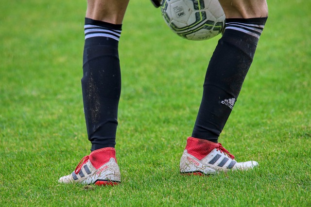 力和动力 力和动力