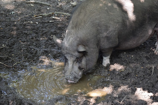 與低績效團 與低績效團