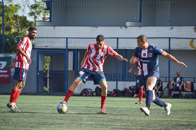 律活塞和奥 律活塞和奥