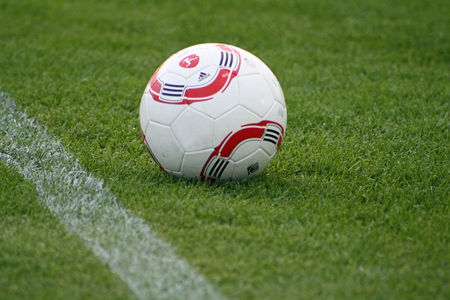 認物品的真 認物品的真