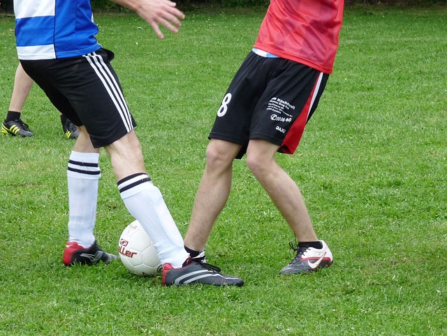 导体教融合 导体教融合