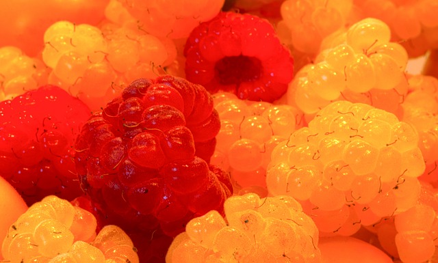 家庭与社会 家庭与社会